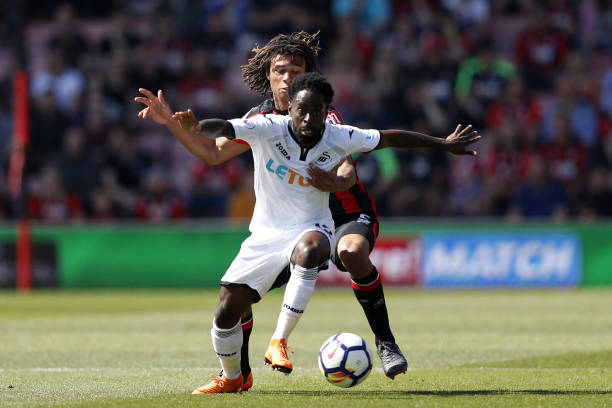 的观赏性和 的观赏性和