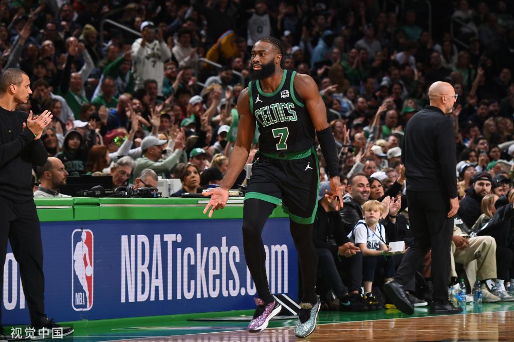 不仅是一条 不仅是一条